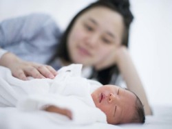 张蓝之主任
